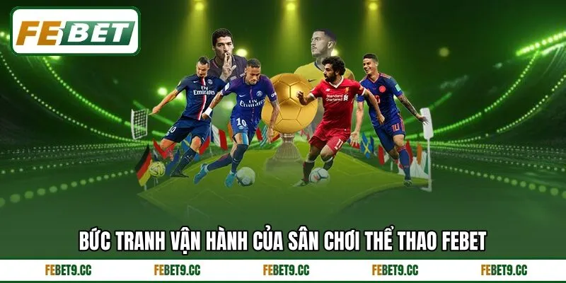 Bức tranh vận hành của sân chơi thể thao Febet