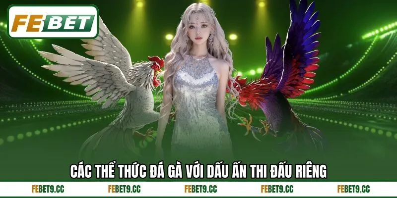 Các thể thức đá gà với dấu ấn thi đấu riêng