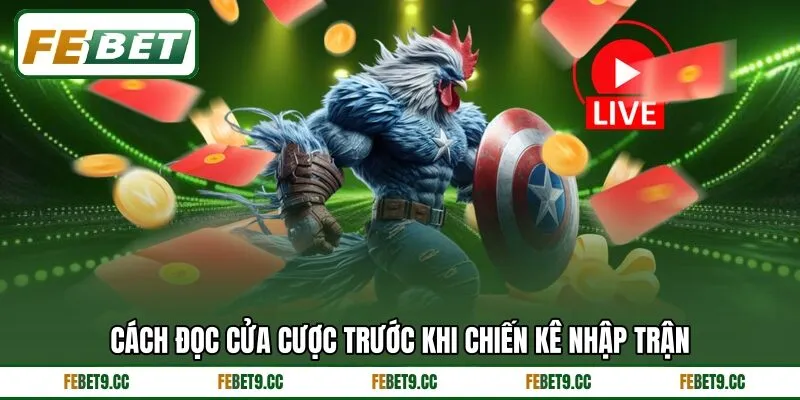 Cách đọc cửa cược trước khi chiến kê nhập trận