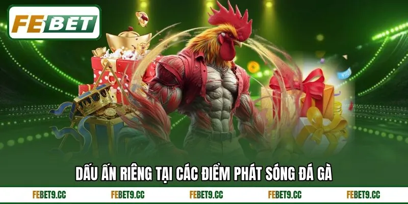 Dấu ấn riêng tại các điểm phát sóng đá gà