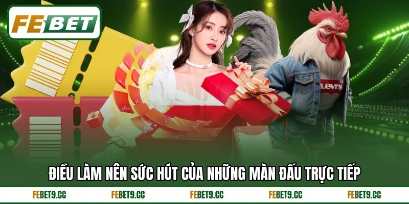 Điều làm nên sức hút của những màn đấu trực tiếp
