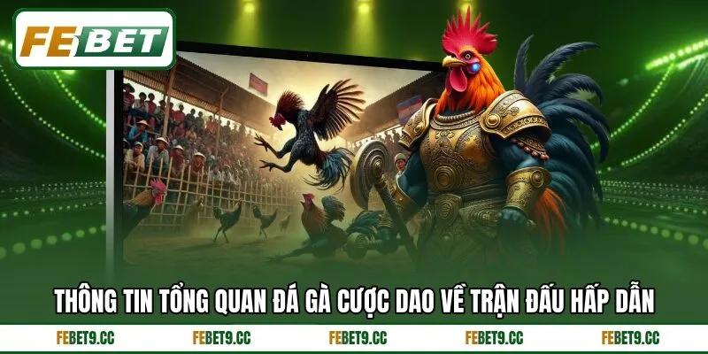 Thông tin tổng quan đá gà cược dao về trận đấu hấp dẫn